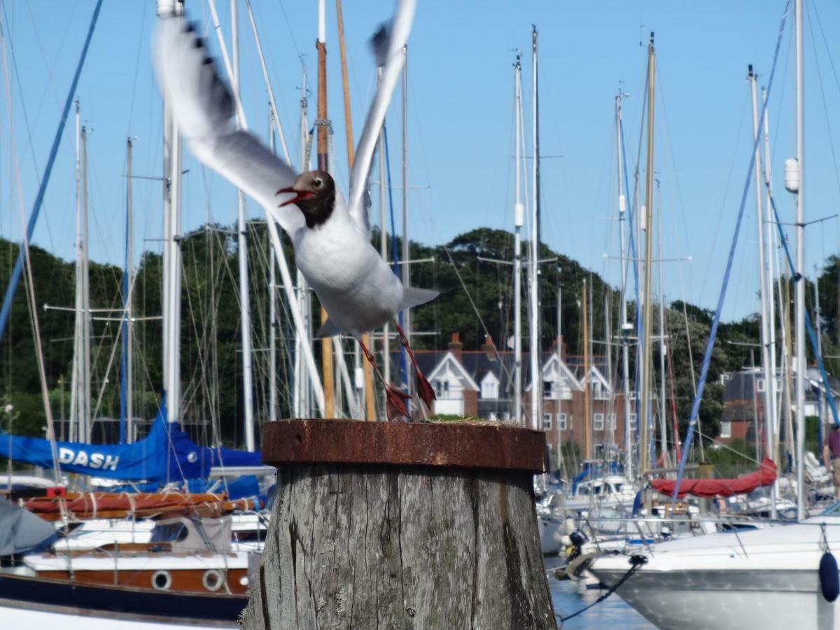 Bentleys Coast And Country B&B Lymington Luaran gambar